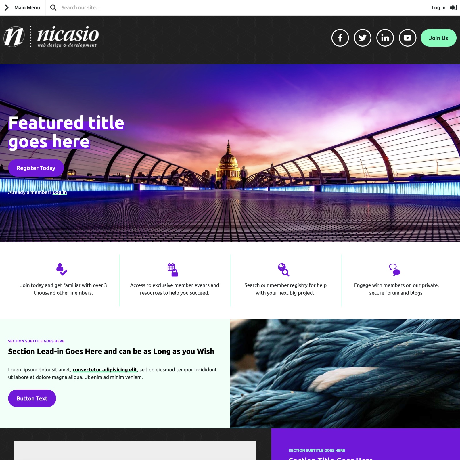 Nicasio Design and Wild Apricot Theme 7